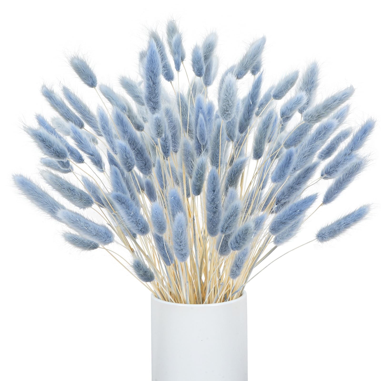 VirtuGro16IN 120pcs Blue Pampas Grass Bunny Tails Dried Flowers Rabbit Tails …