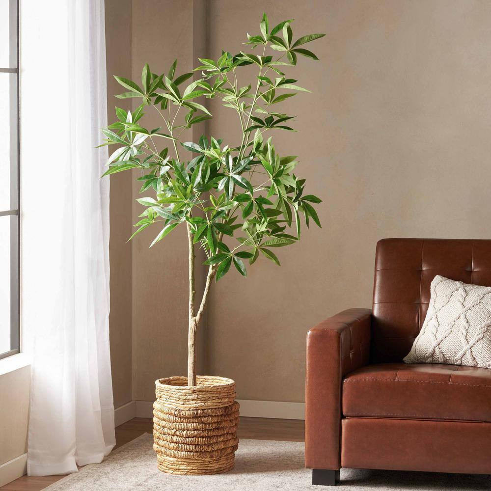 Contemporary 3.93 Ft. Green Outstanding Artificial Money Trees, for Home Decor L