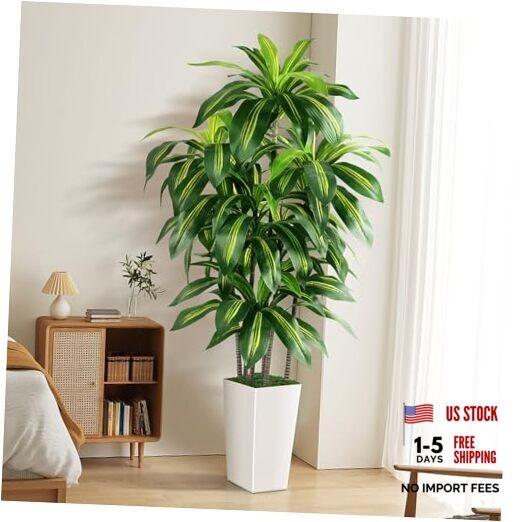 Artificial Dracaena Tree Indoor, 5FT Tall Fake Tree with Tall 5ft White
