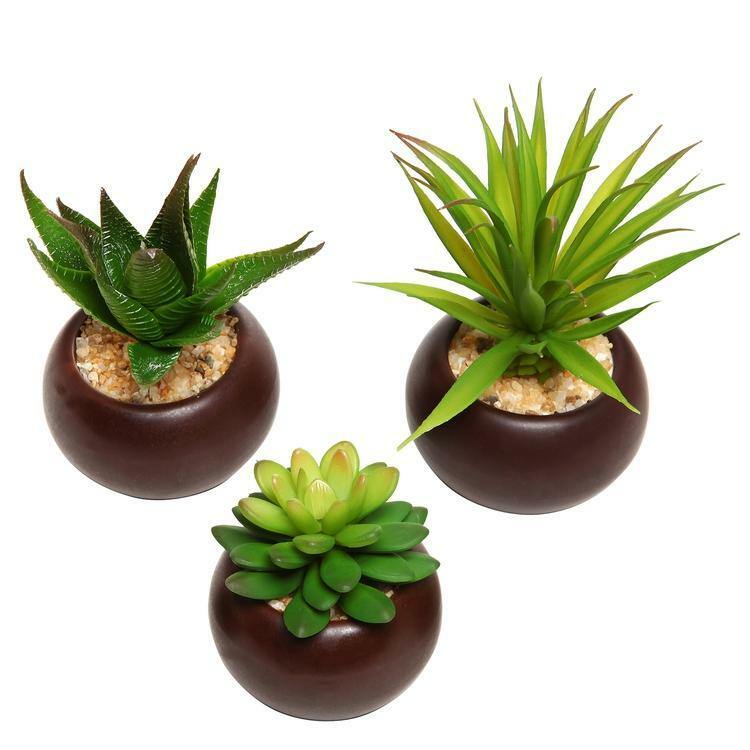 Decorative Potted Artificial Mini Succulent Plants in Brown Planter, Set of 3