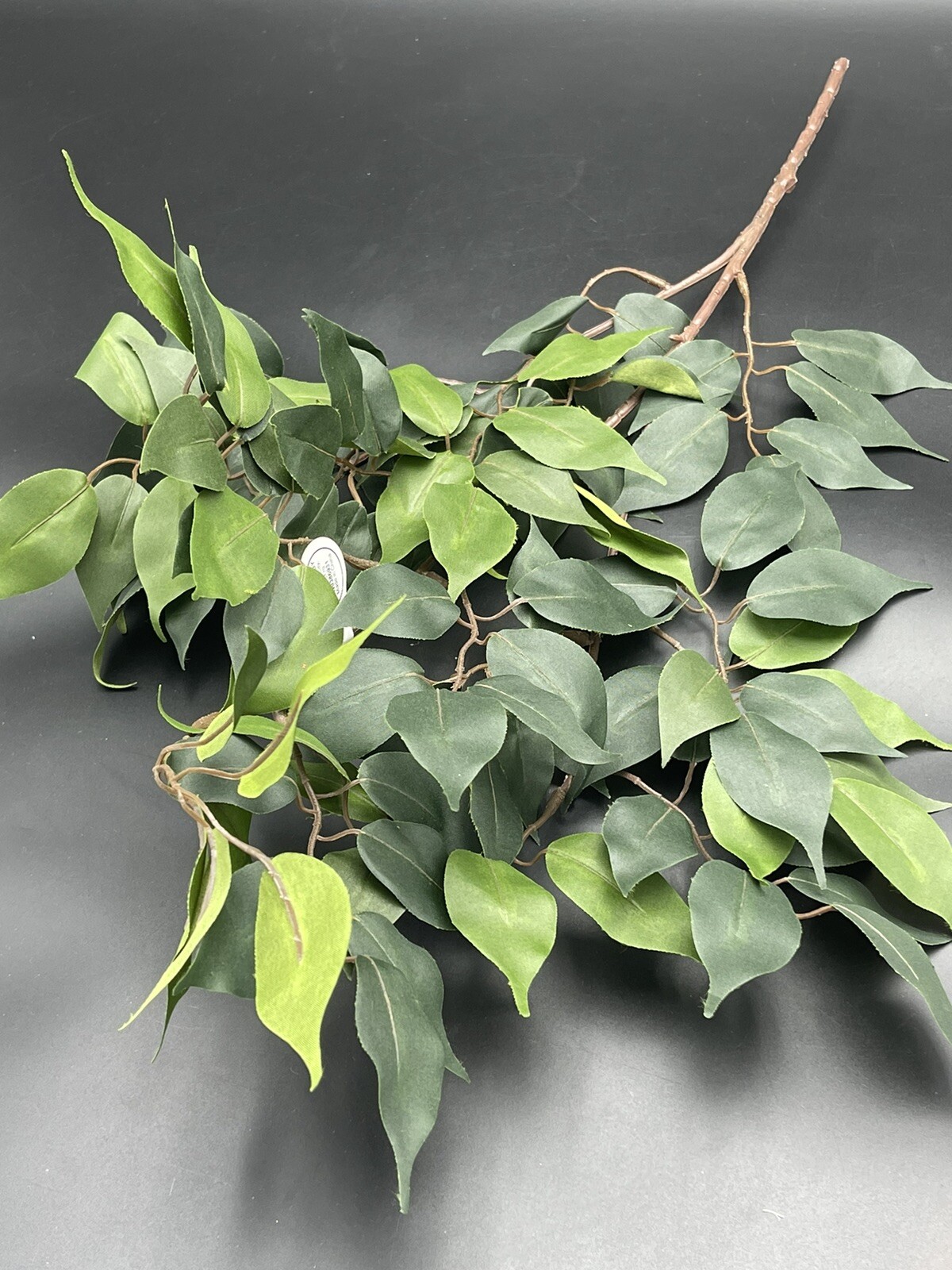 Ficus Branch Floral Stem Hobby Lobby 26″ x 15″ 738690