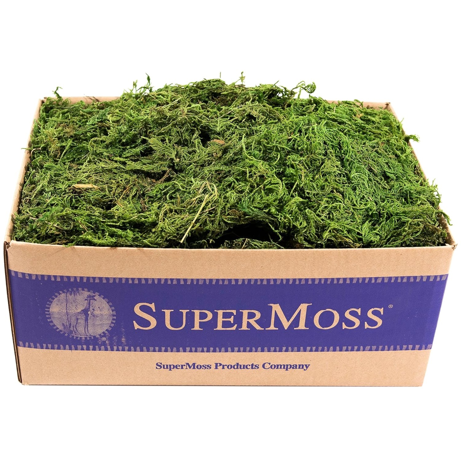 Long Lasting Moss for Home & Garden