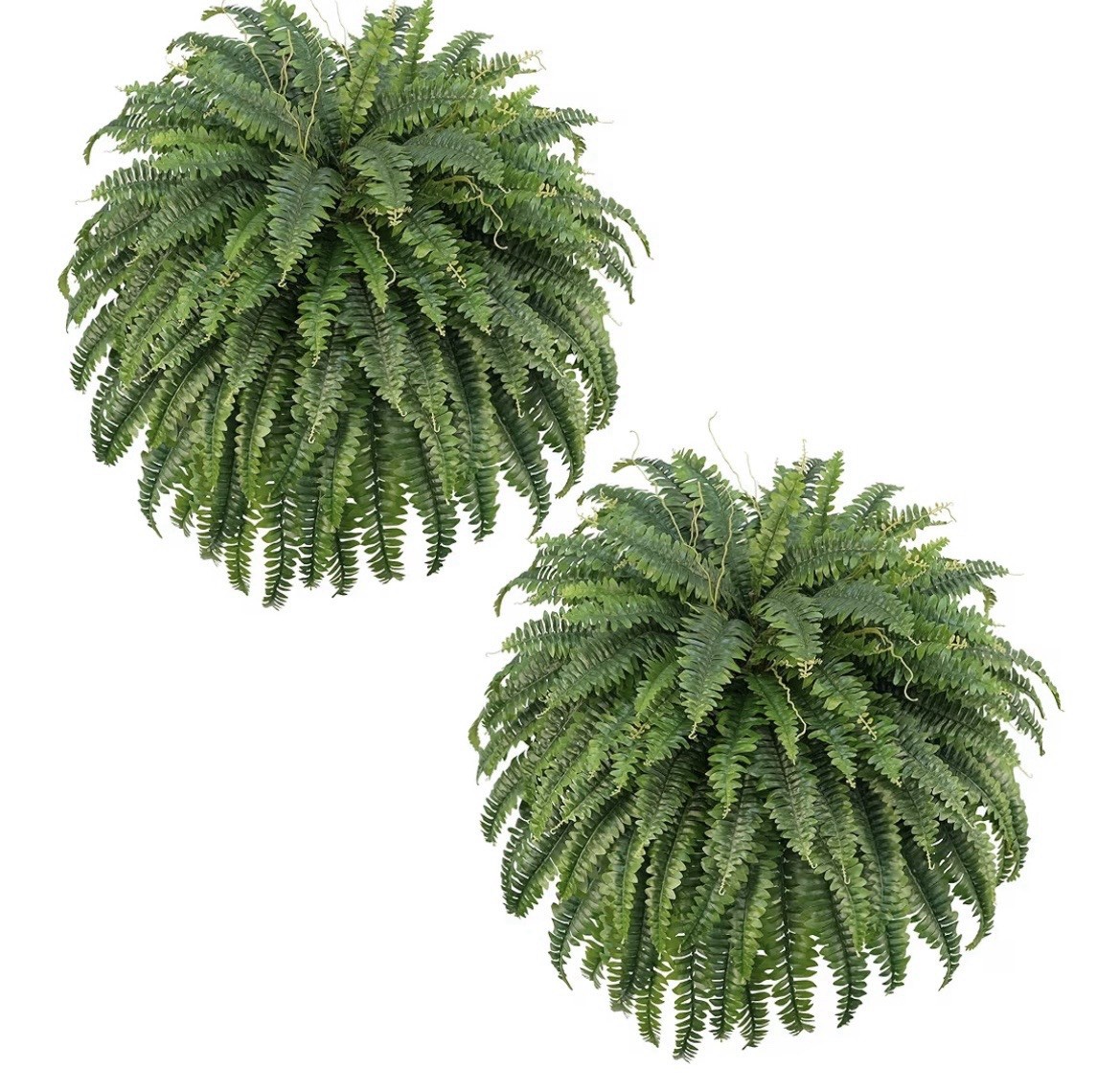 FOREST PRINCE 50″ Artificial Boston Ferns, Fake Bush Plants, Large Faux Ferns.