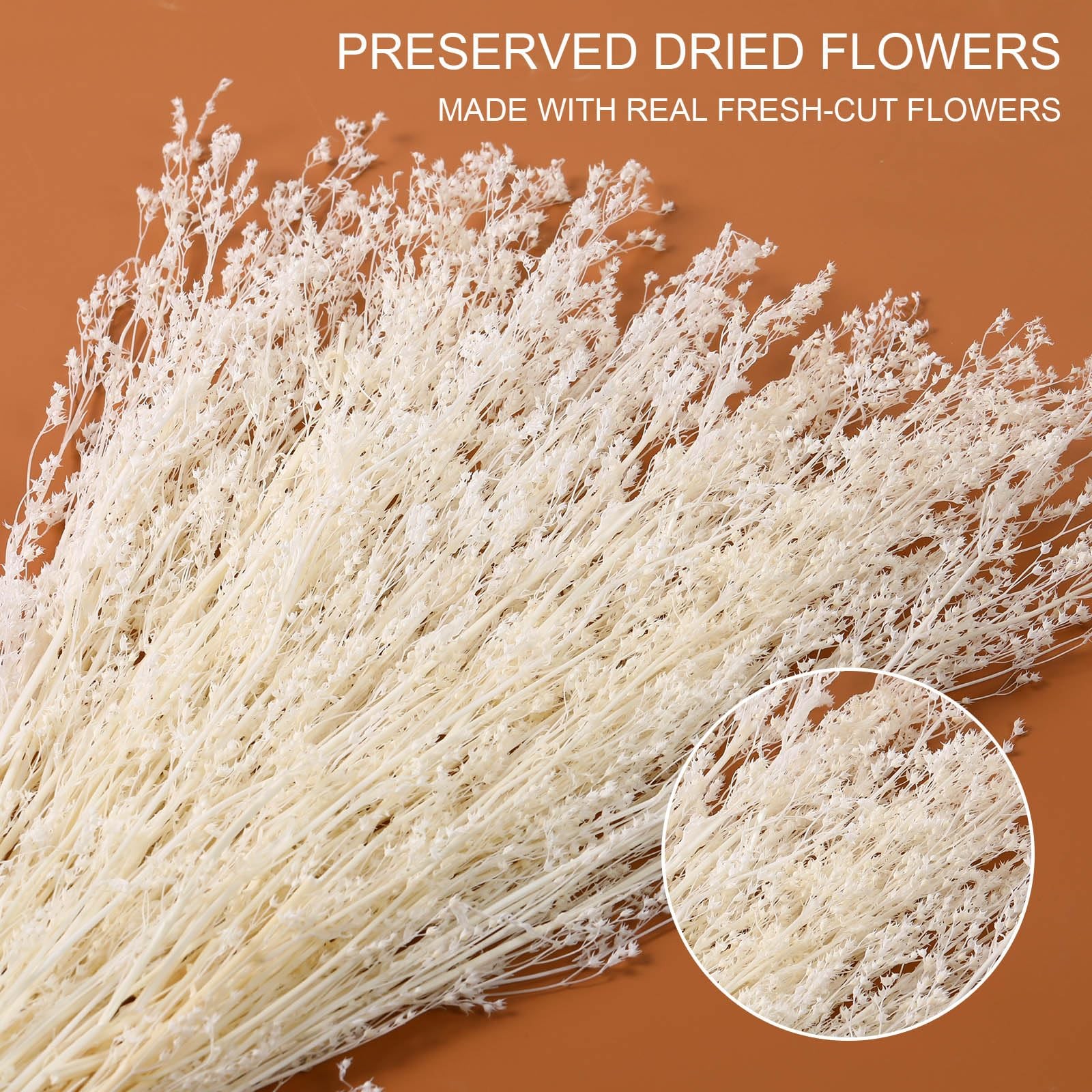 Dried Flowers Babys Breath Bouquet, – 17 Inch 3500+ Preserved Natural Flowers…