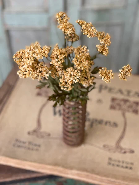 Fennel Flower Bundle – Mustard – Artificial Flowers