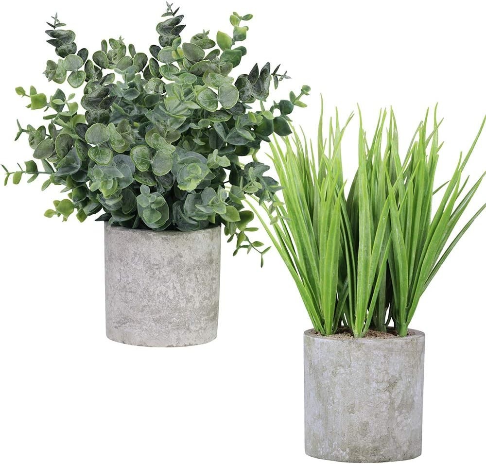 2 Pack Small Potted Eucalyptus Plant Artificial Grass in Pot Assorted Mini Ho…