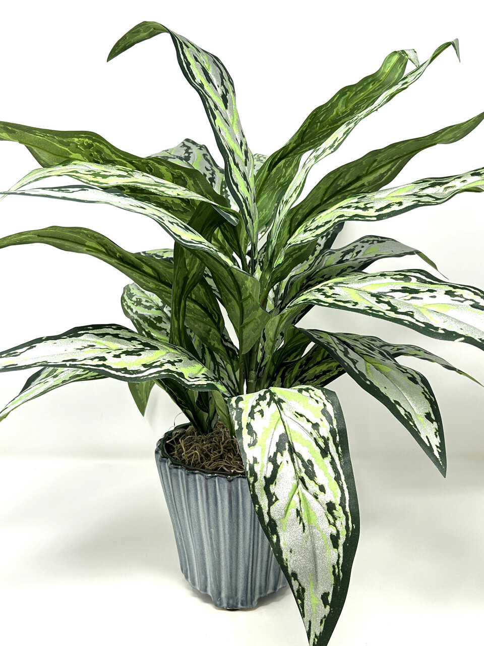 19″ Large SILVER QUEEN AGLAONEMA artificial silk Sword plant, 5.5″ Blue Ceramic