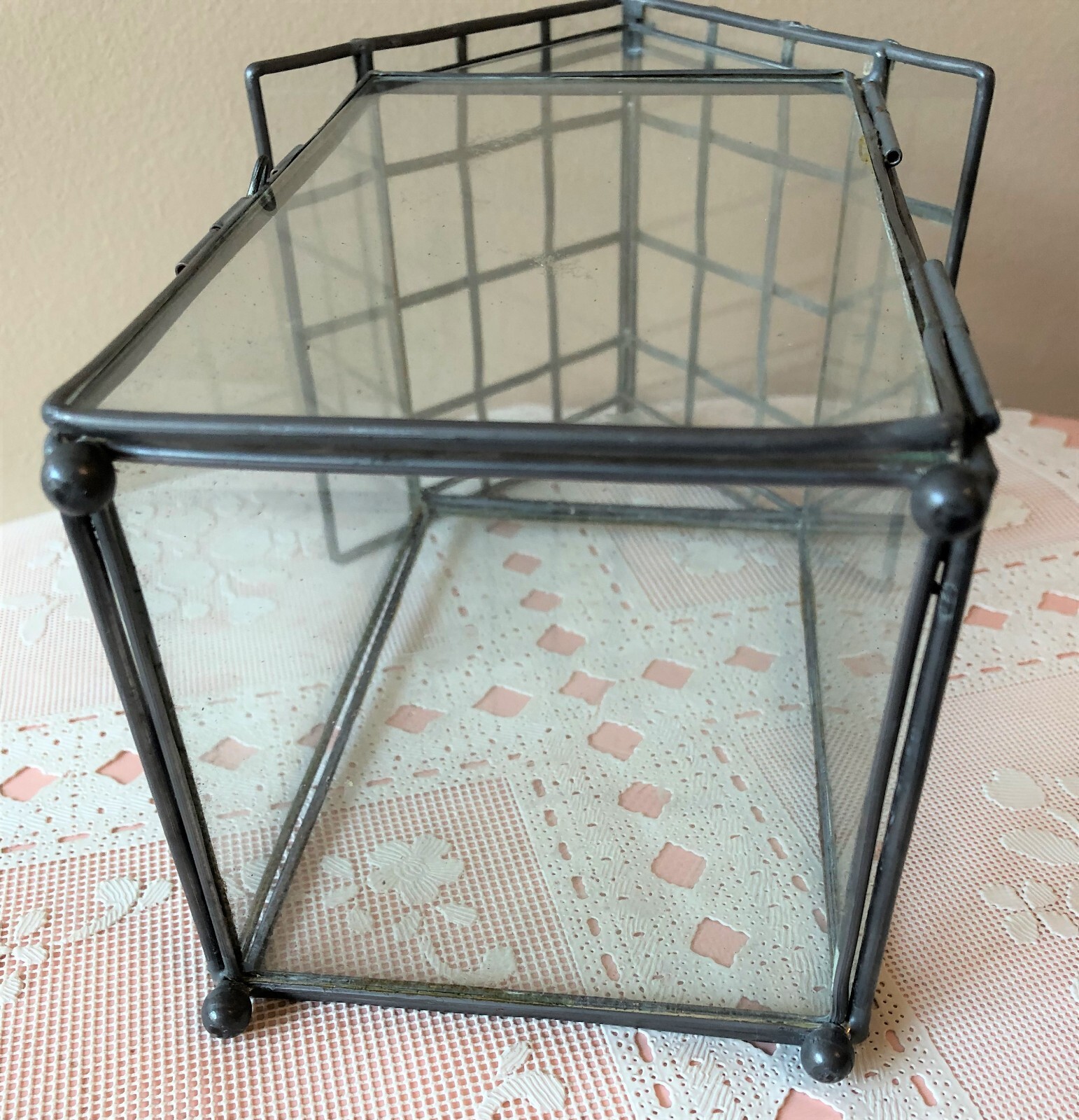 Glass House Terrarium With Silver Metal Trim Hinge Locking Door