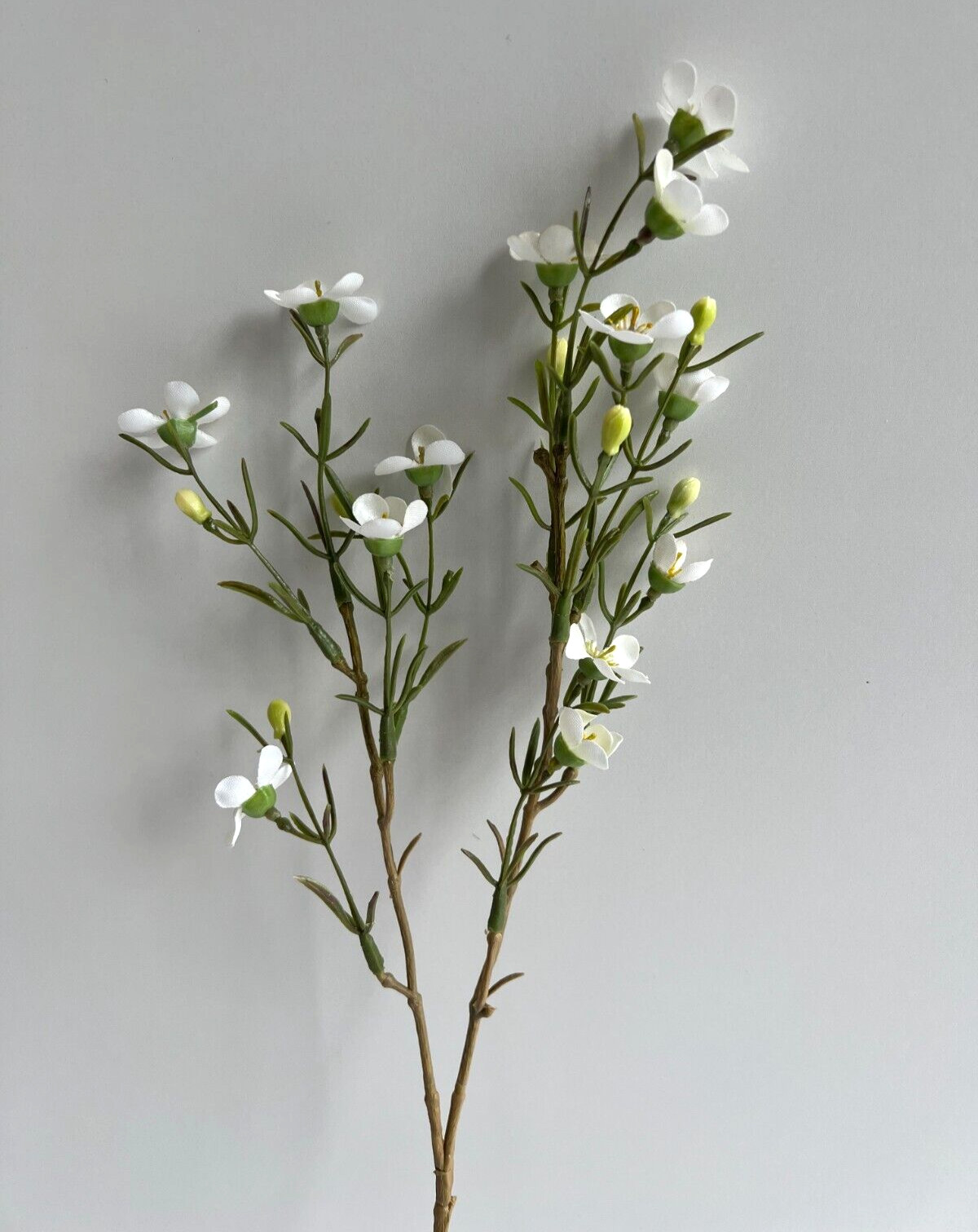 Australian Native Flowers Wax Flower Geraldton Wax Spray White Faux Silk Stem