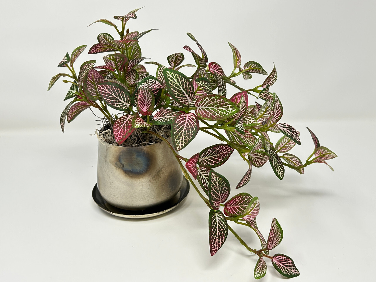 9″ Small Artificial PINK FITTONIA NERVE faux Silk plant in Silver Metal 3.5″ Pot