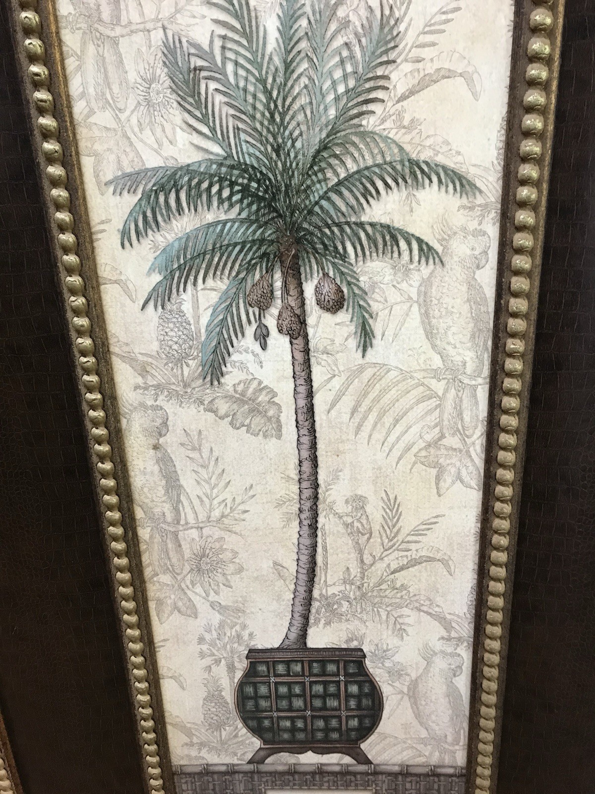 Pineapple Plant Decor Picture ￼