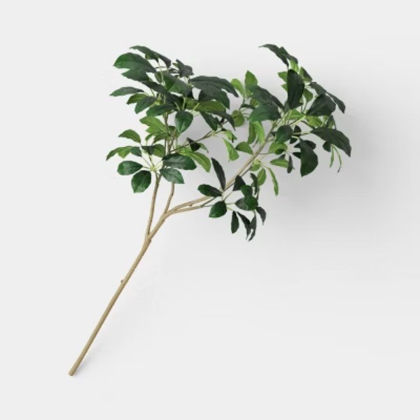 Schefflera Leaf Branch – Threshold