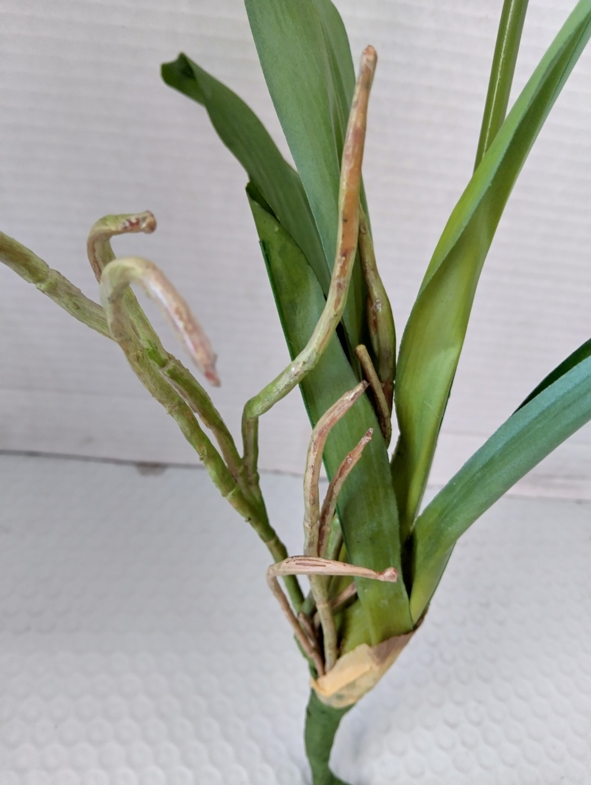 ARTIFICIAL miltoniopsis orchid plant