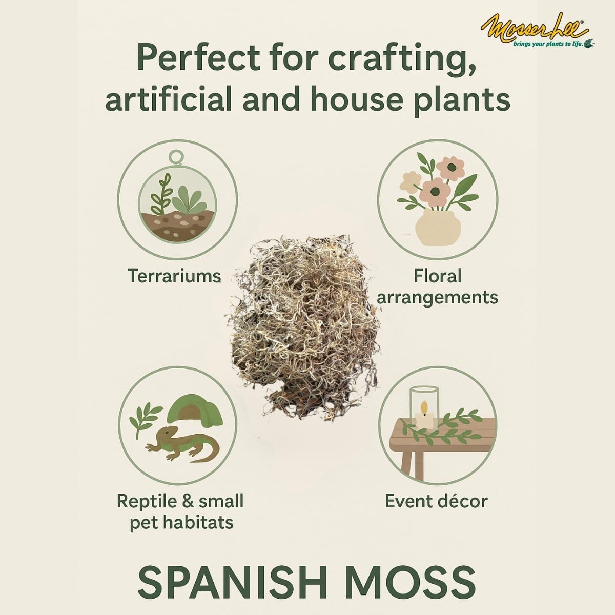 Natural Spanish Moss for Decor, Crafts & Plant Care