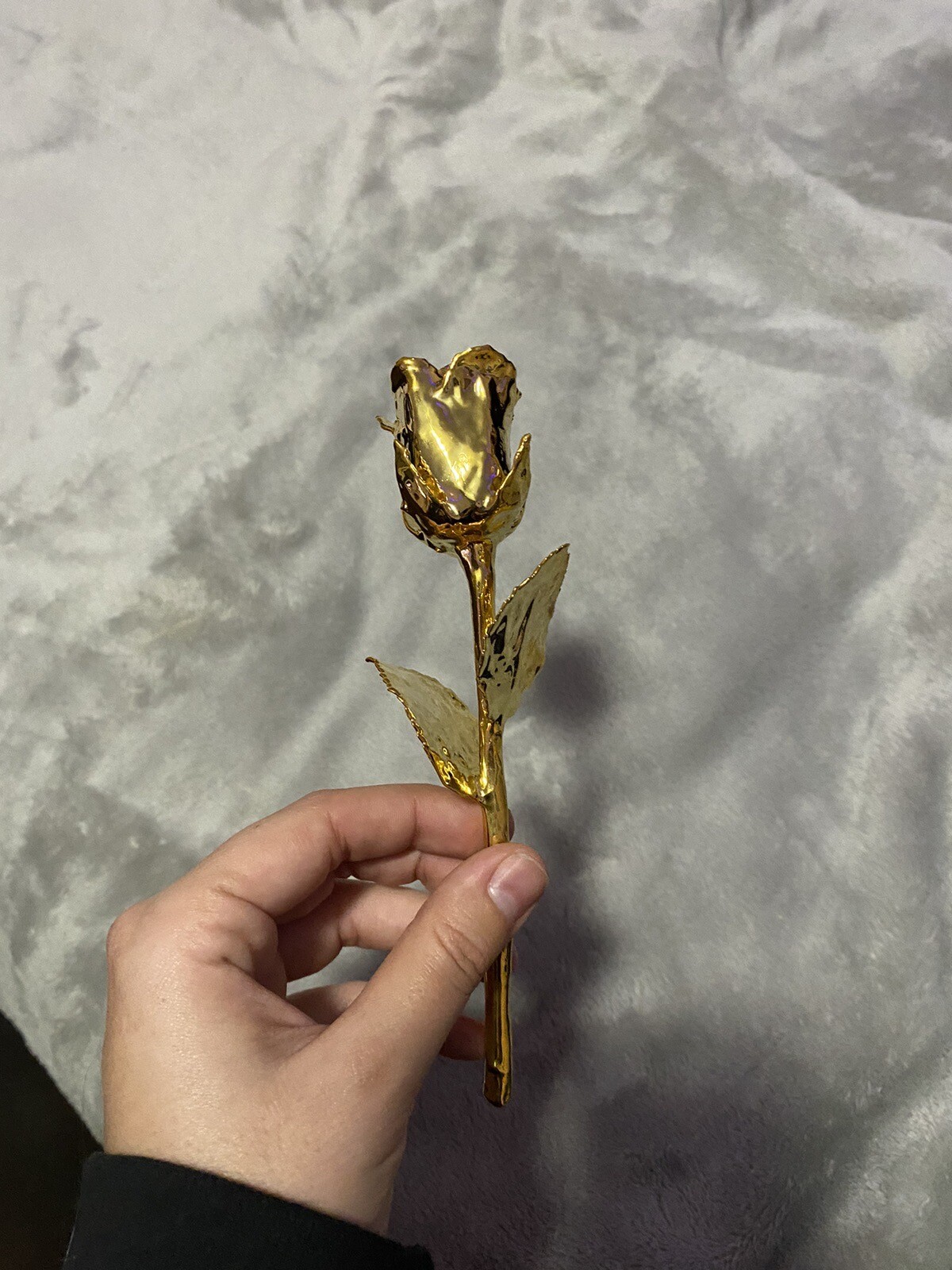 real rose dipped in 24k gold