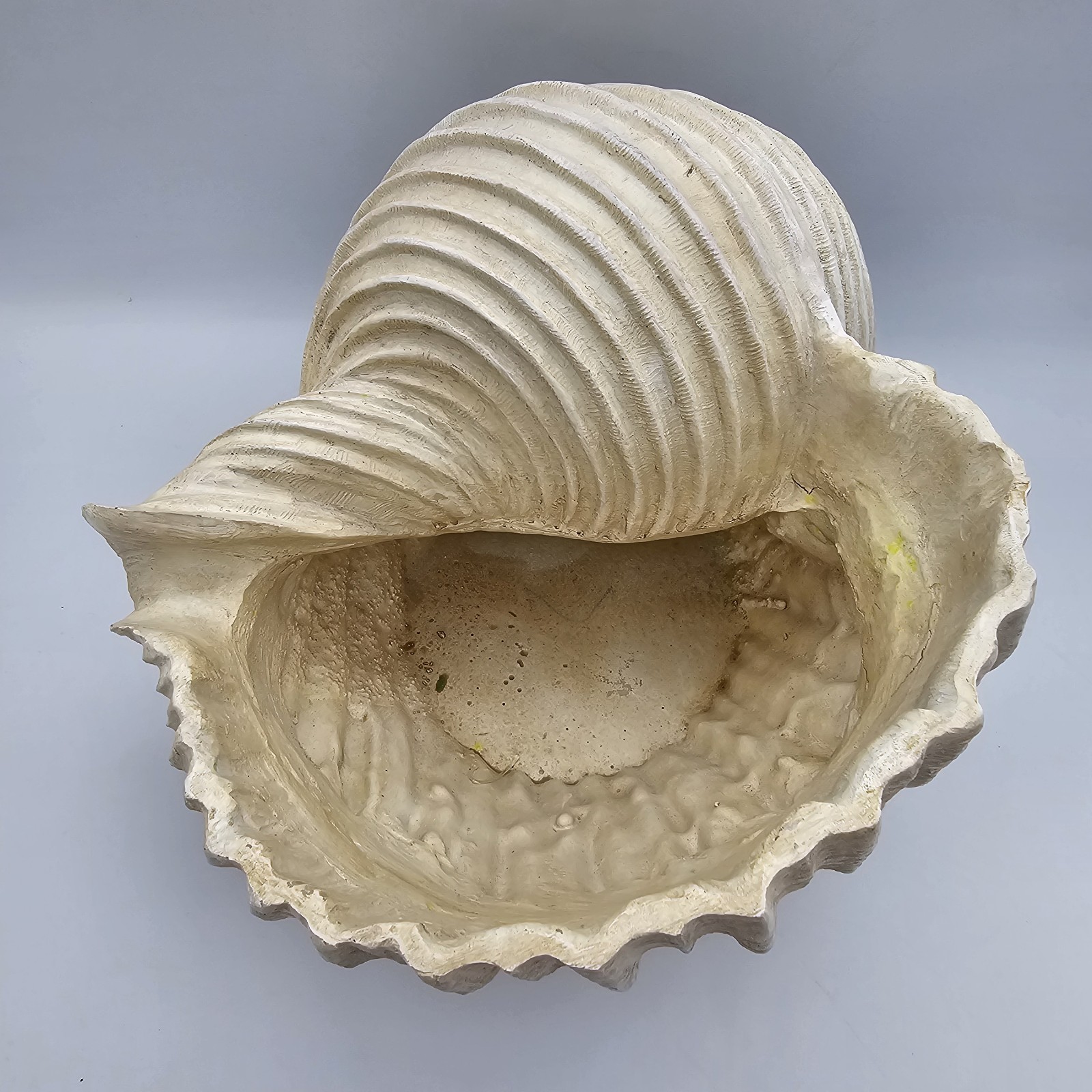 White Cream Decorative Faux Shell Planter Vase