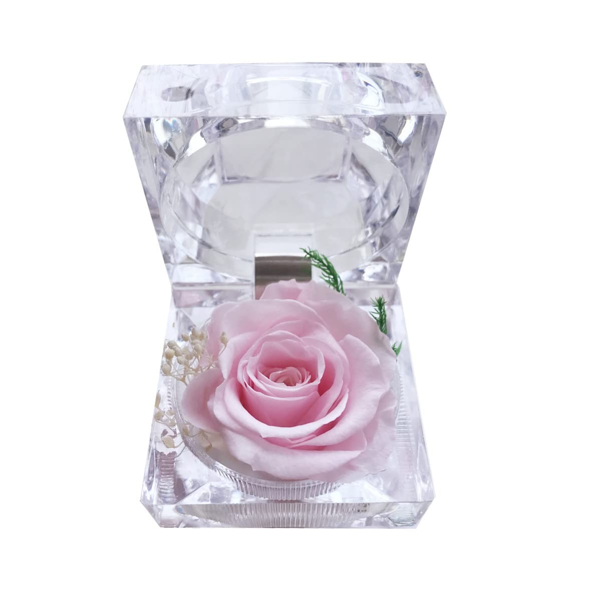 Preserved Rose Real Forever Rose in Mini Clear Ring Box, Eternal Flower Rose Gif