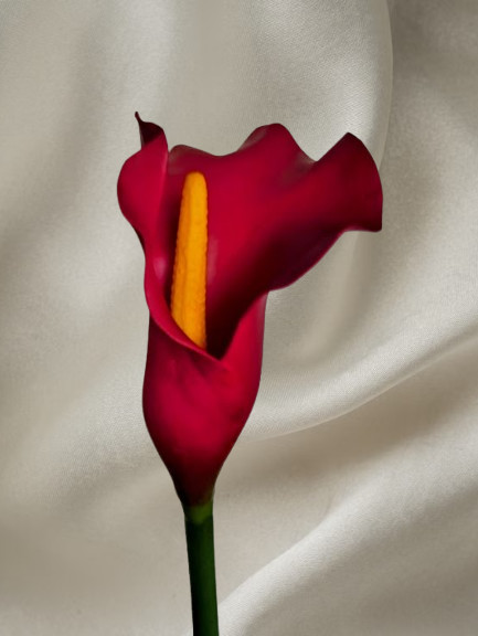 26″ Cranberry real touch calla lily stems (6)