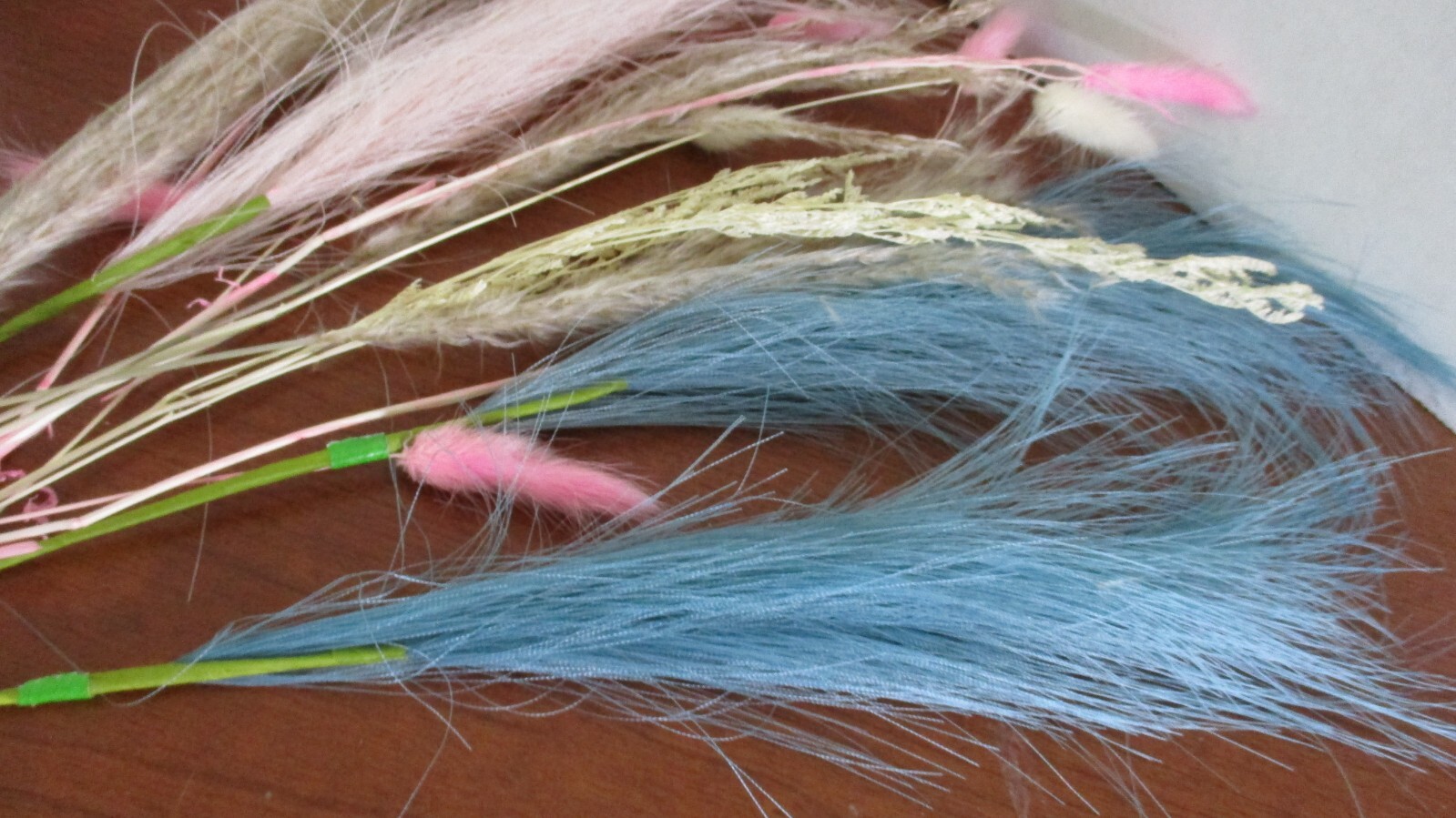 Small lot of PAMPAS Flowers (tk)