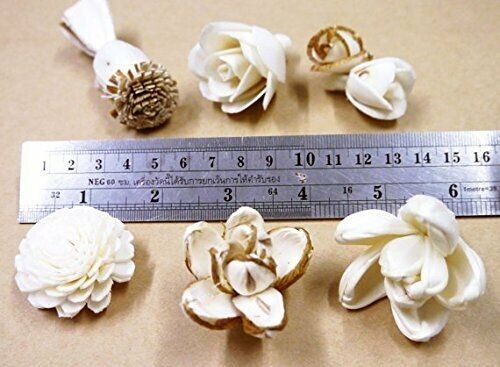 20 Balsa Artificial Sola Wood Flower with 5in. Rattan Reeds, Mix of Flowers