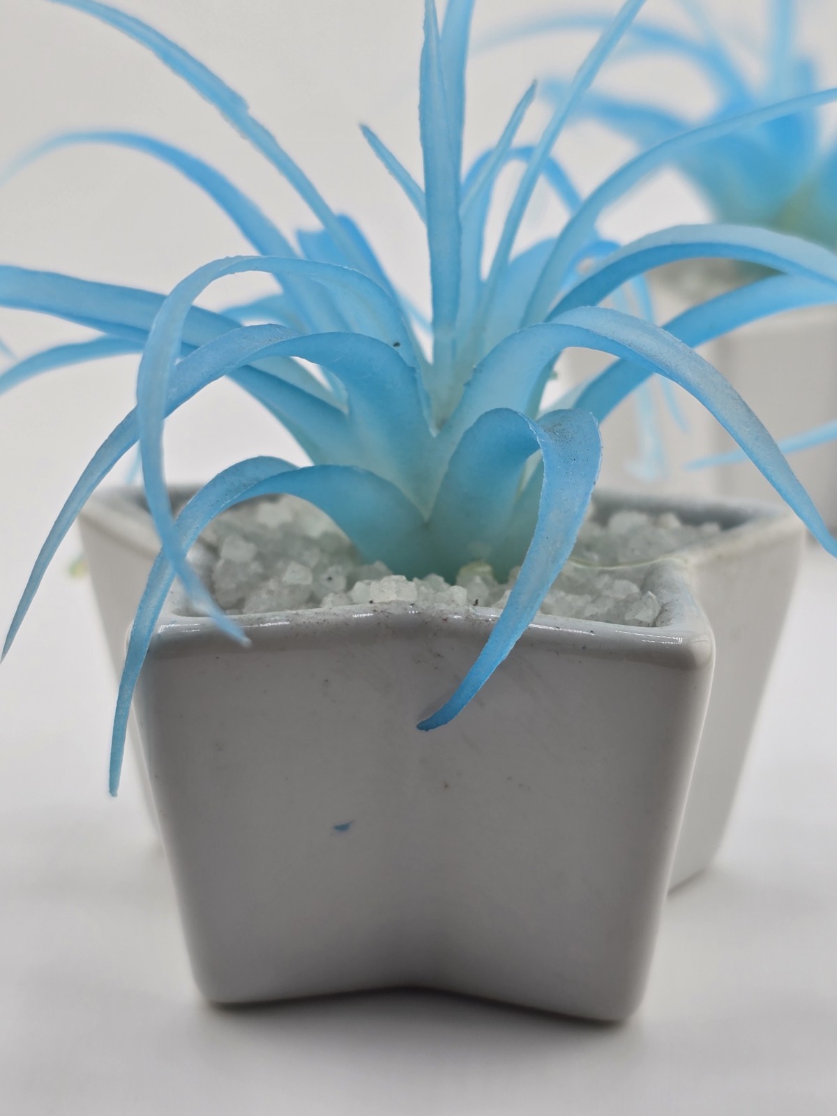 2 Faux Succulent Blue Tillandsia In Small Star Shaped Ceramic Pots 1 Damaged