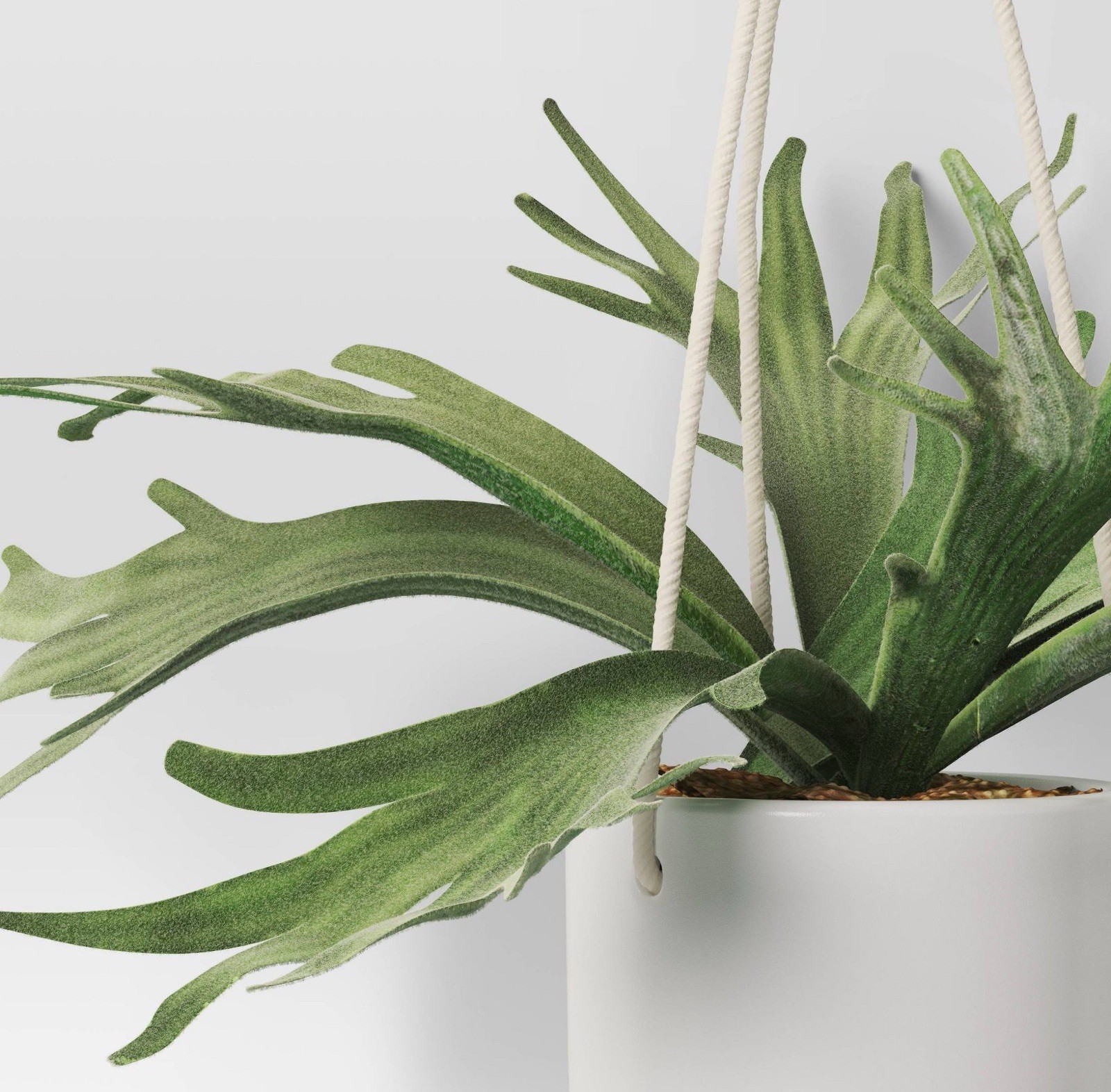 🥥 Threshold 12″ Hanging Staghorn Fern Artificial Plant🆕LOT OF 2‼️