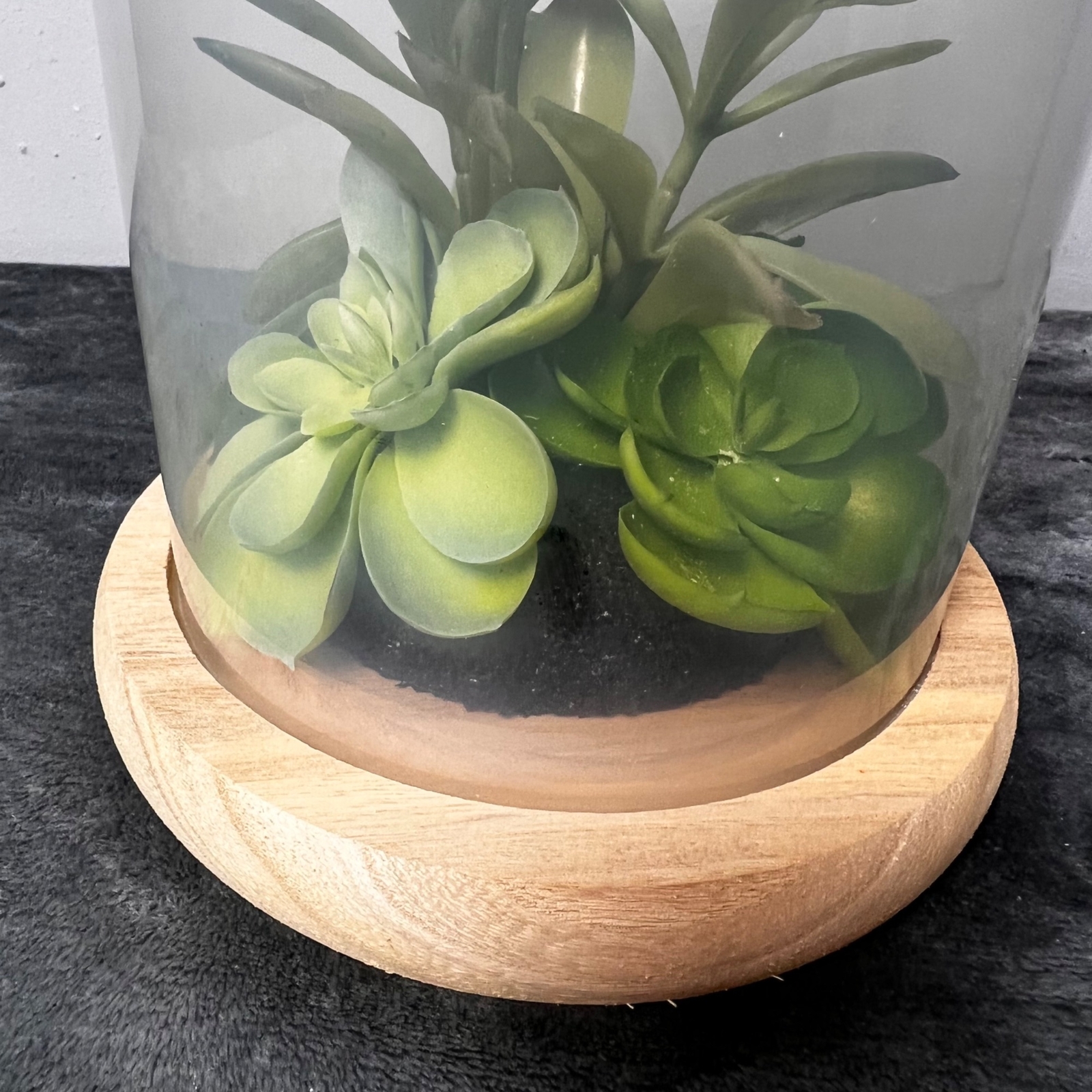 Succulent Terrarium Glass Wood Base Faux Plants Decorative Globe Centerpiece