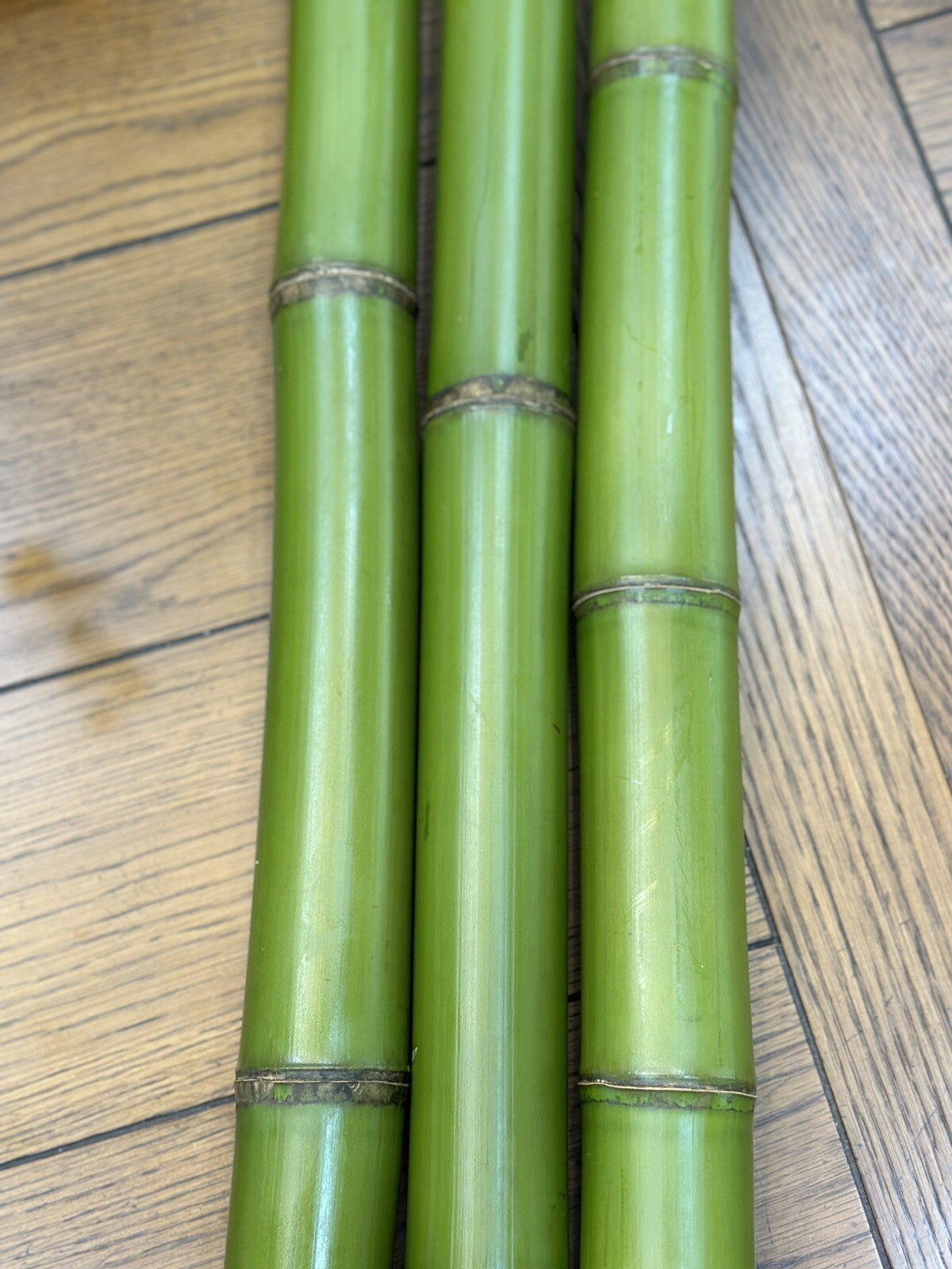 1” Fresh Cut Natural Bamboo For Decor (You Choose Length) 1ft – 8ft