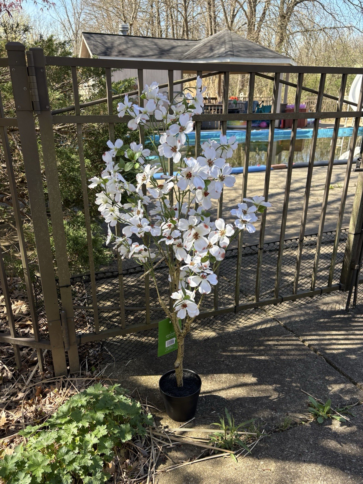 Ashland Artificial 4 Ft. Dogwood Silk Tree Potted