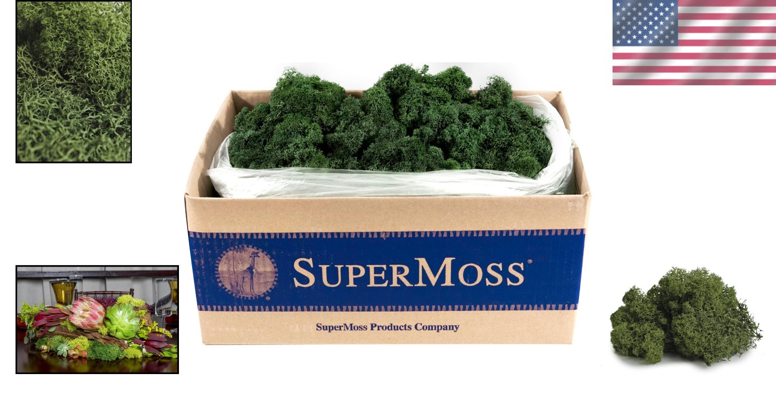 Long Lasting Preserved Moss, Forest Green, 3lbs