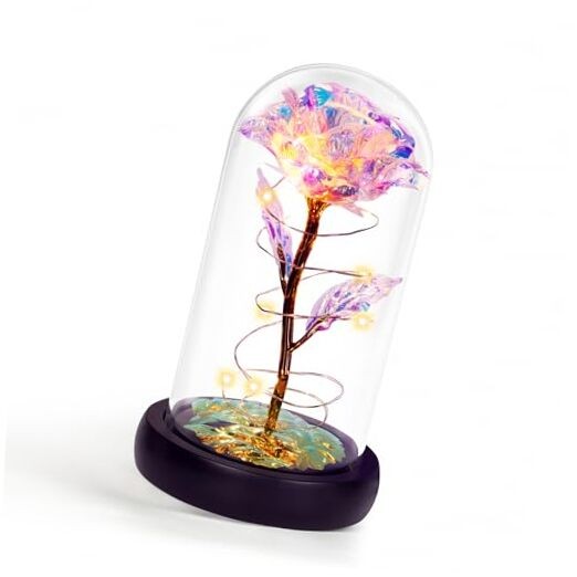 Mothers Day Flowers Gifts for Mom Grandma,Birthday Gifts for Rainbow Medium