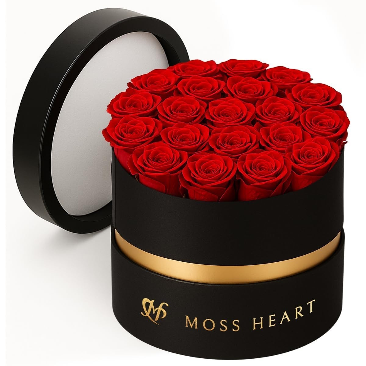 20 Mini Preserved Roses in Round Luxury Gift Box – Lasting Real Roses for Gifts,