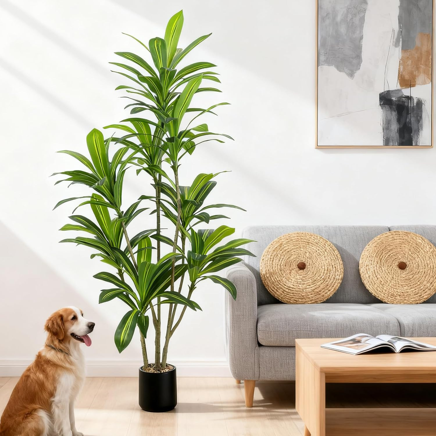 6FT Artificial Dracaena Tree with Realistic Leaves & Black Planter for Home Deco