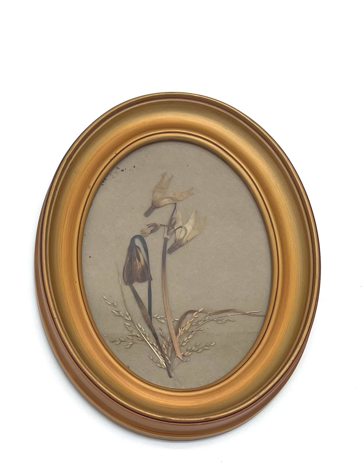 Vtg Dried/Pressed Flowers In Oval Frame Wall Hang Gold Frame 9”x7” Cottagecore