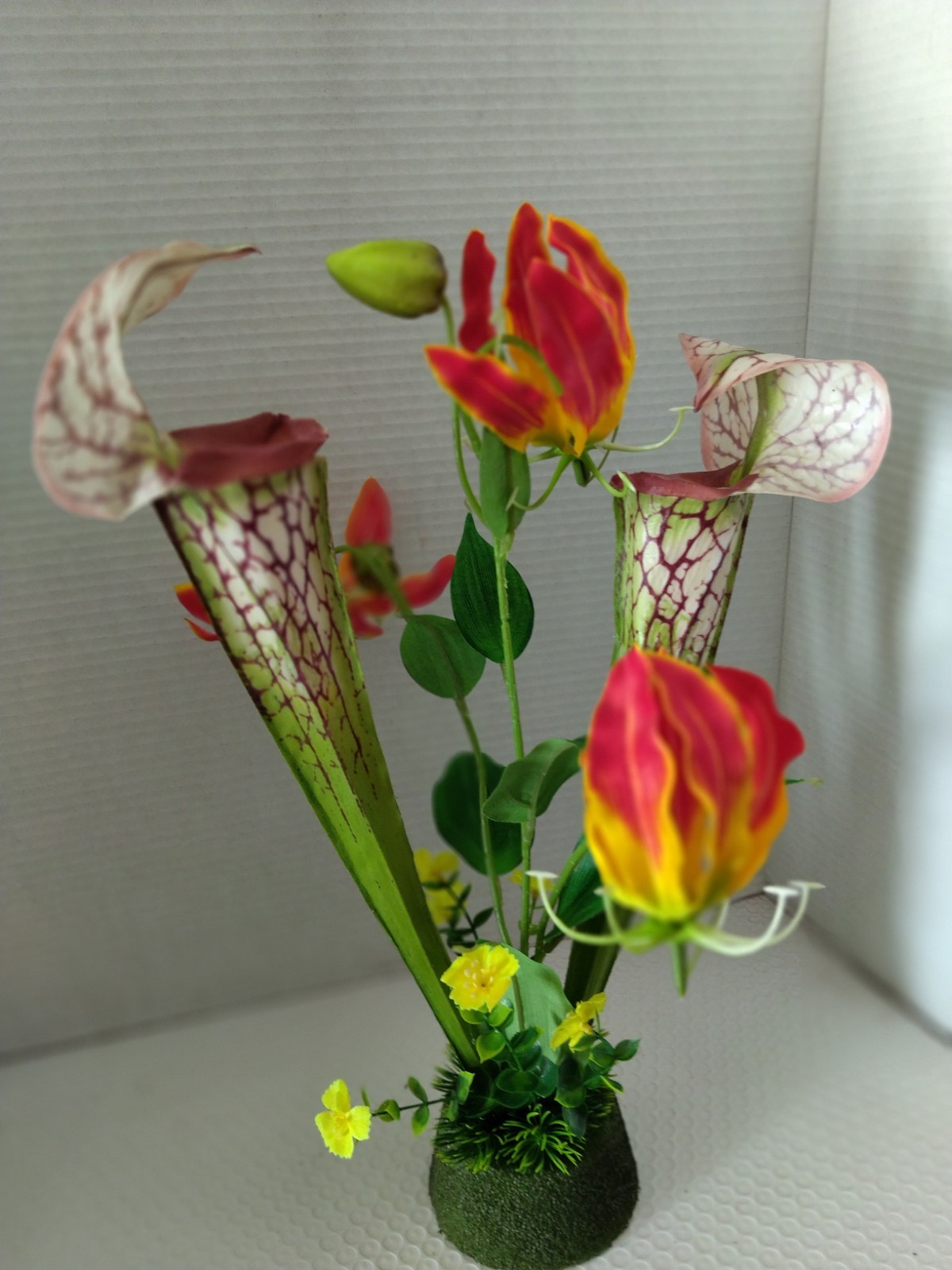Pitcher plant table Decoration