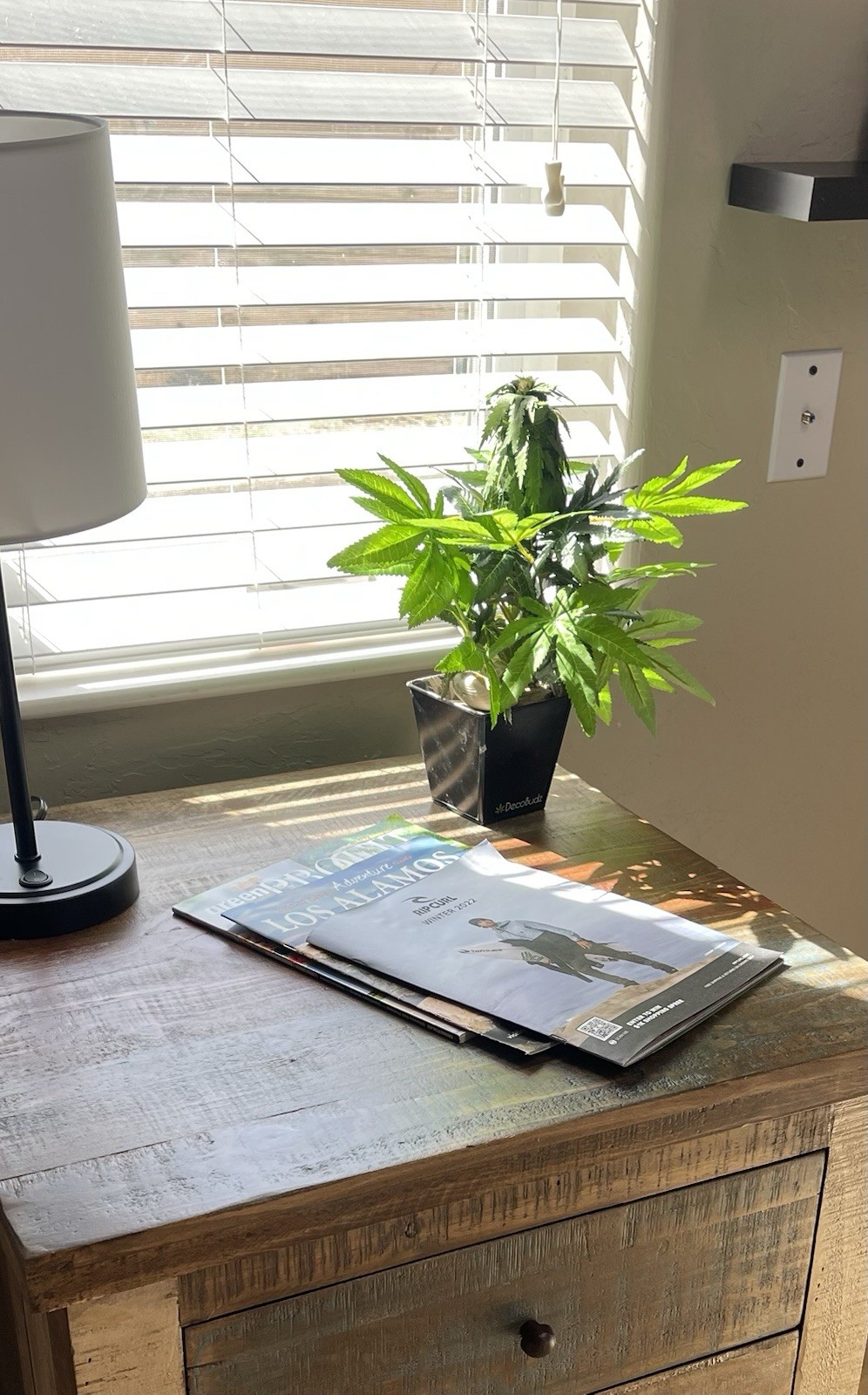 15” Faux Hemp Plant Decorative Cannabis Style Desk Decor