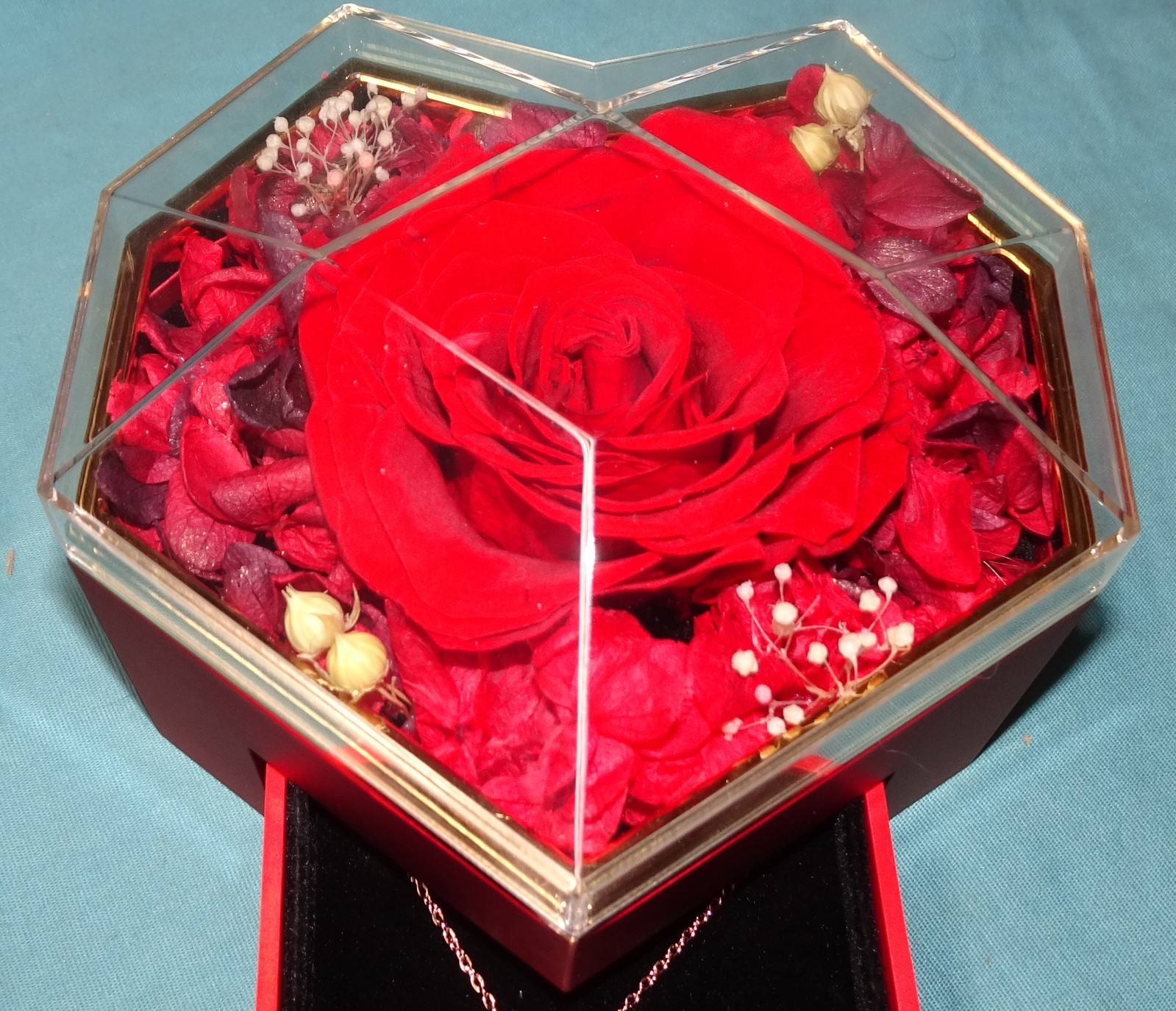 new open box Preserved Real Red Rose Gift Box with Heart Necklace Eternal Flower