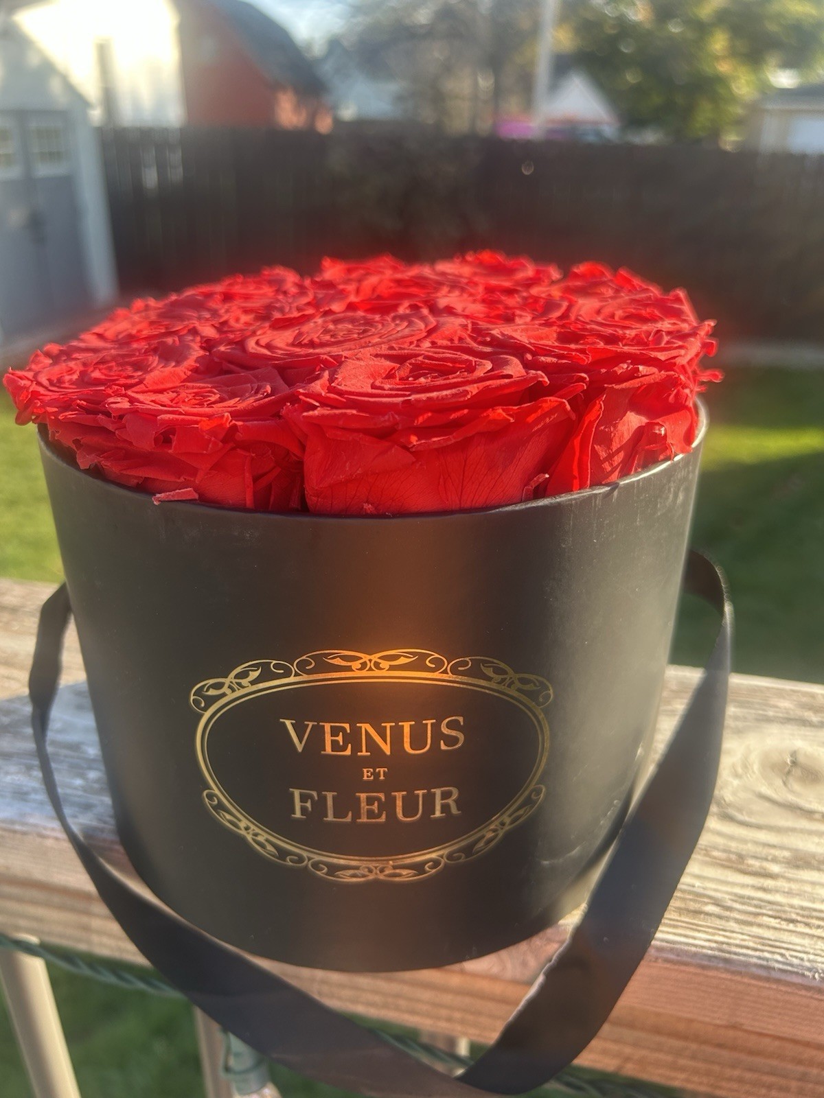 Venus Et Fleur Red Roses Flower Box Arrangement small Round Black box
