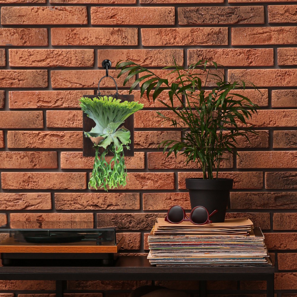 Fern Mount Kit: Decorative Wood Panel for Succulent –
