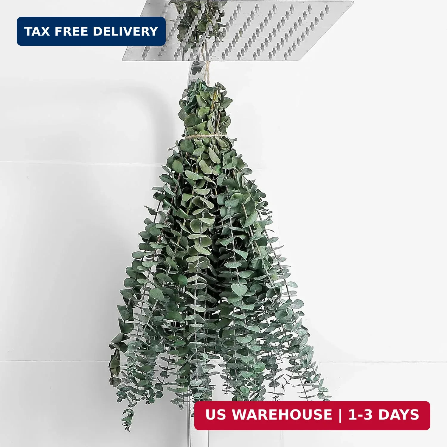 10 Pcs Dried Eucalyptus Stems 17″ Real Eucalyptus for Shower Hanging 100% Made f