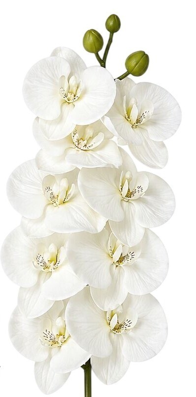 White Orchid Stem Artificial Floral Pick 26 Inch Ivory White Faux Orchid Spray f