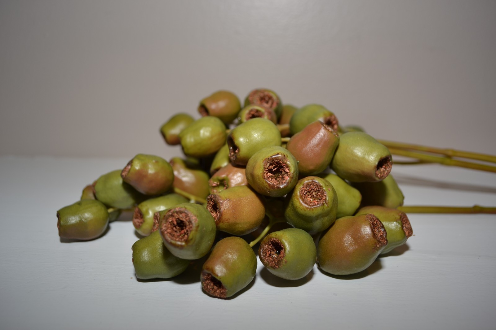 Artificial Eucalyptus Gumnut NEW Native LOT of 3 Stem branches 19″ long