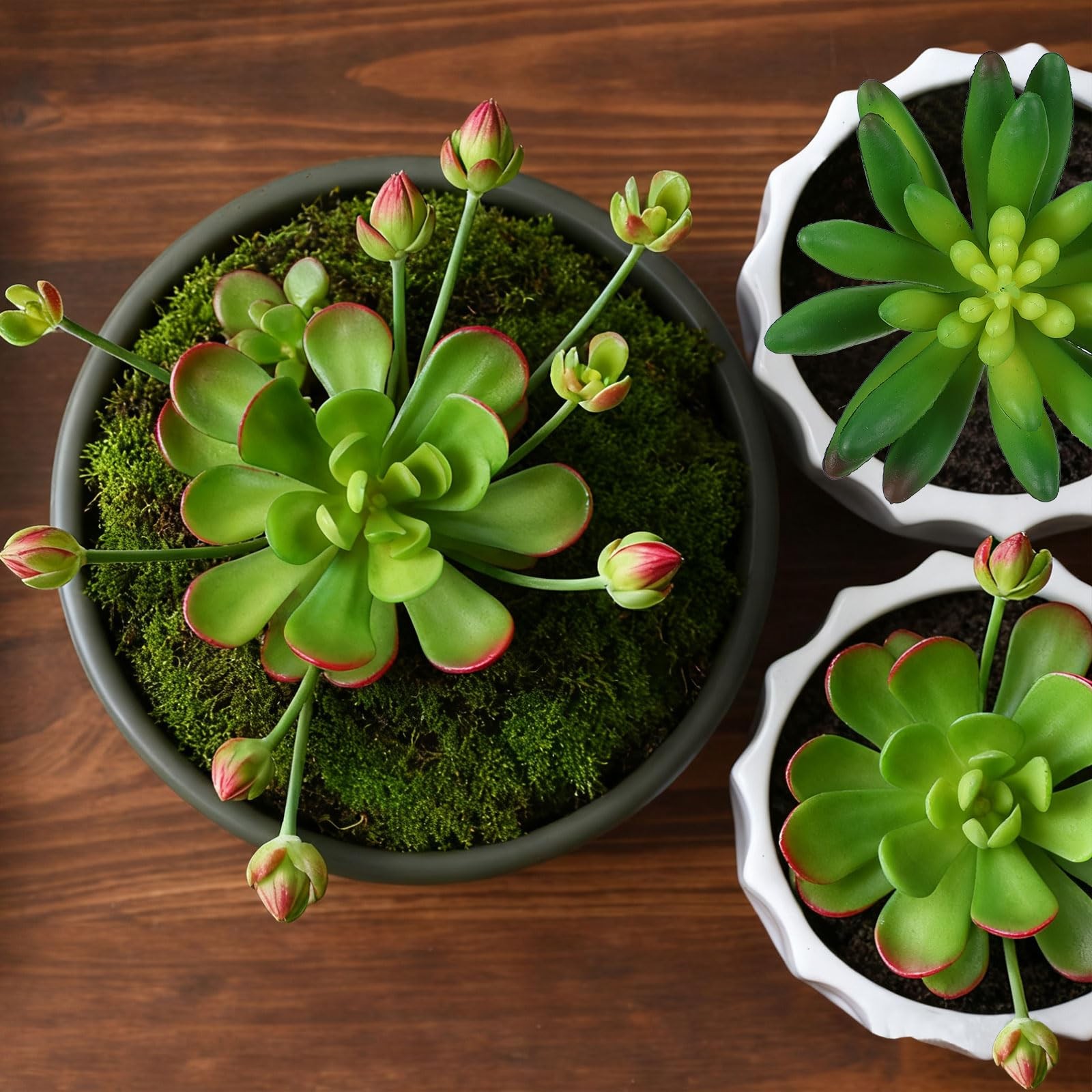 2Pcs Artificial Succulents Plants 3.5 Inch Realistic Fake Succulents Fake Pla…