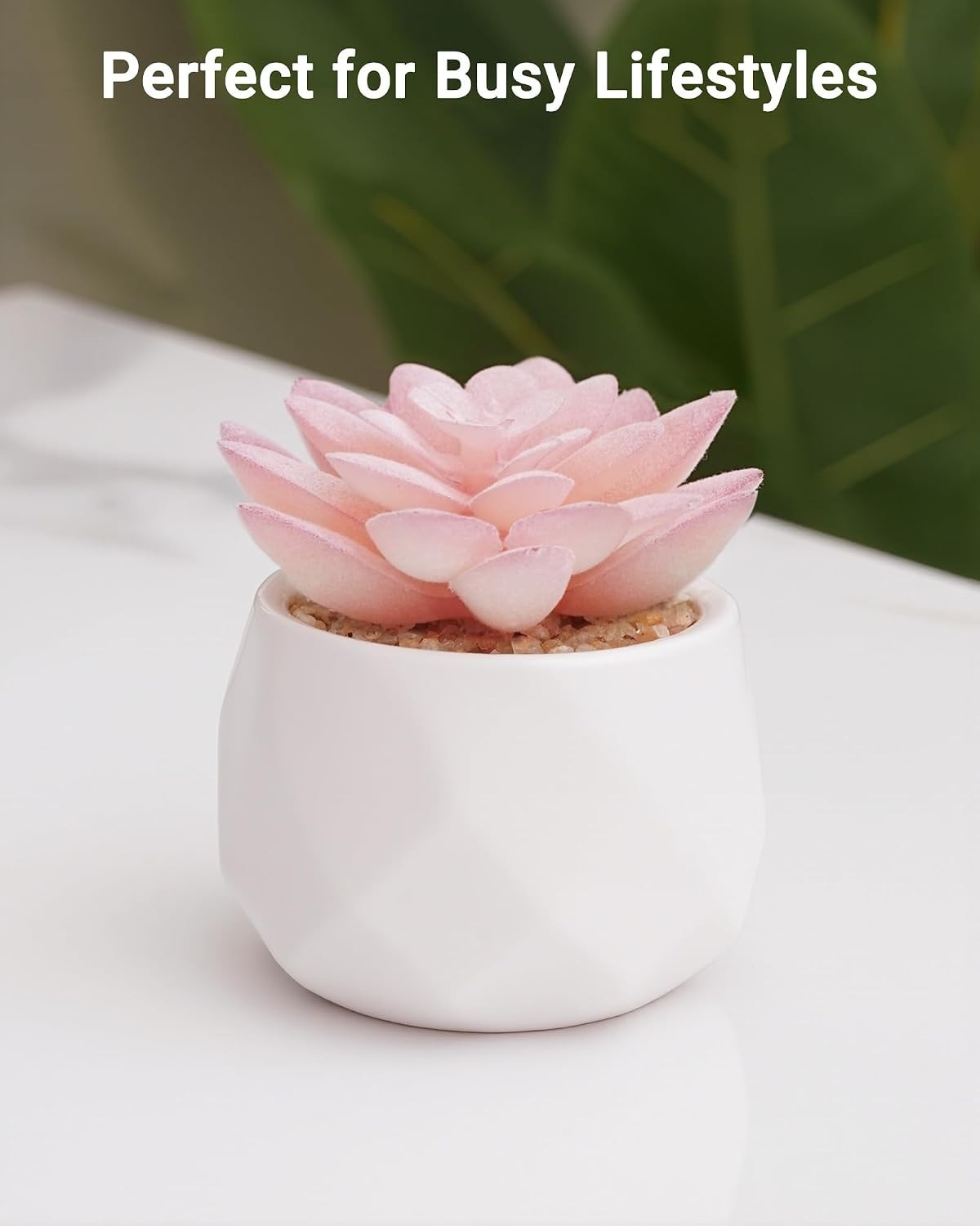 Vibrant Pink Mini Faux Succulents in Ceramic Pots – Perfect for Home & Office…