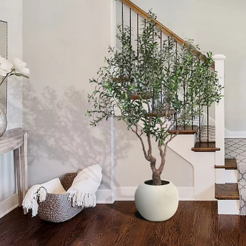 Member’s Mark Faux 8′ Deluxe Olive Tree in Oversized Cream Pot