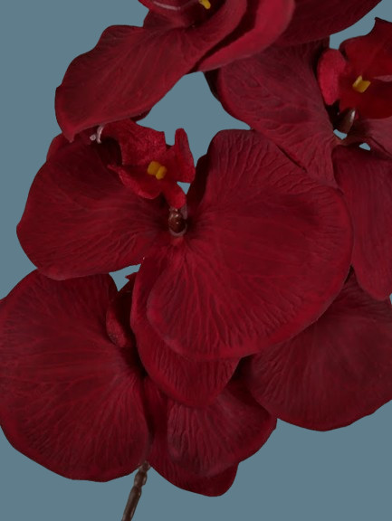 Artificial Phalaenopsis Orchid flower stem DEEP BURGUNDY