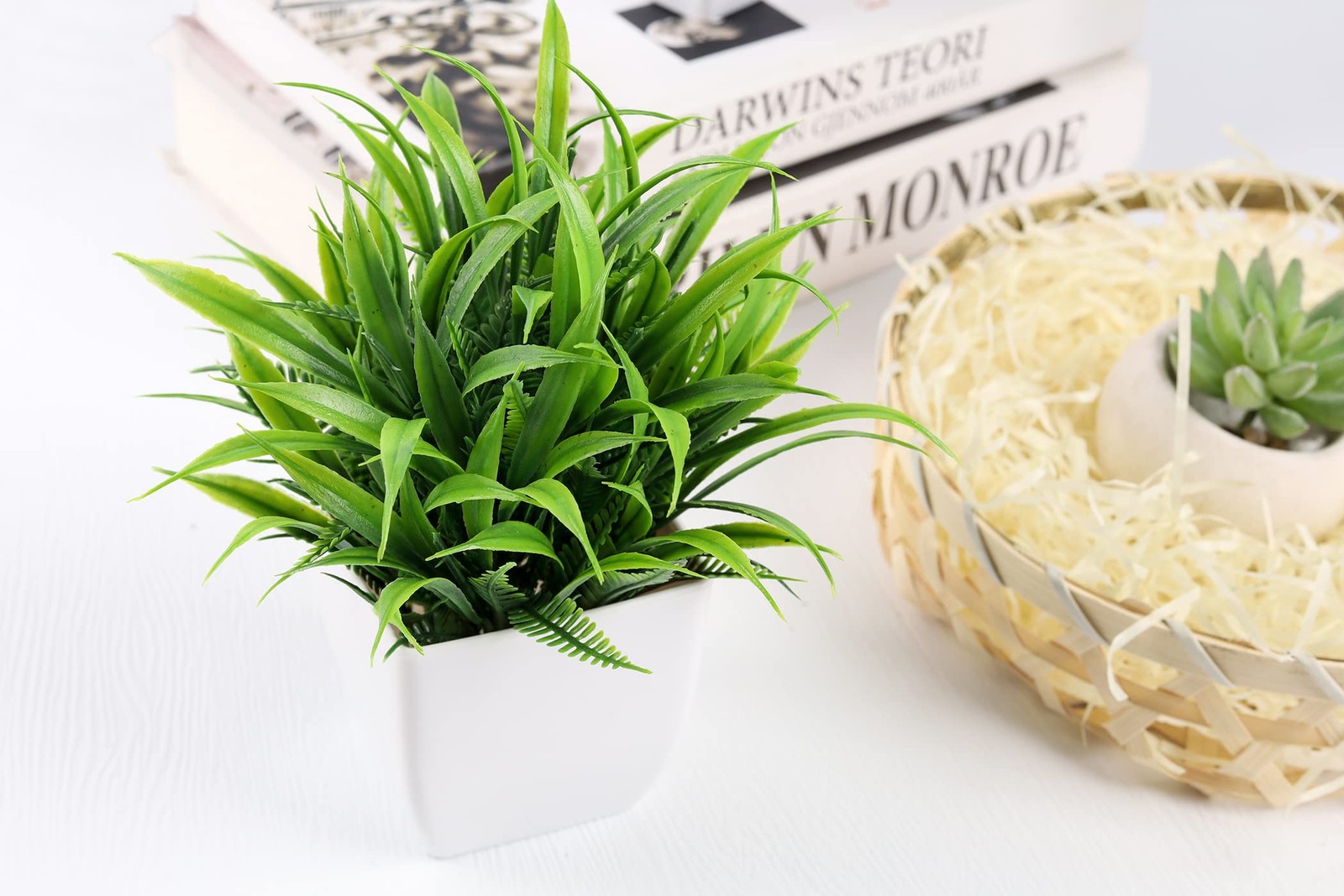 Der Rose 2 Pack Small Fake Plants Mini Artificial Potted Plants for Table Desk