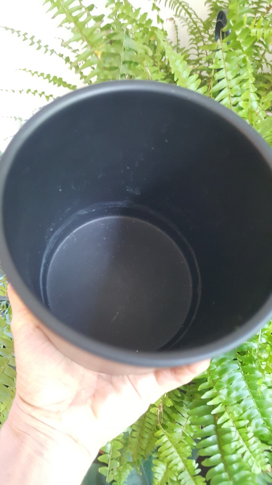 Artificial Fern Stems Matte Black Cylinder Pottery Planter/Stand