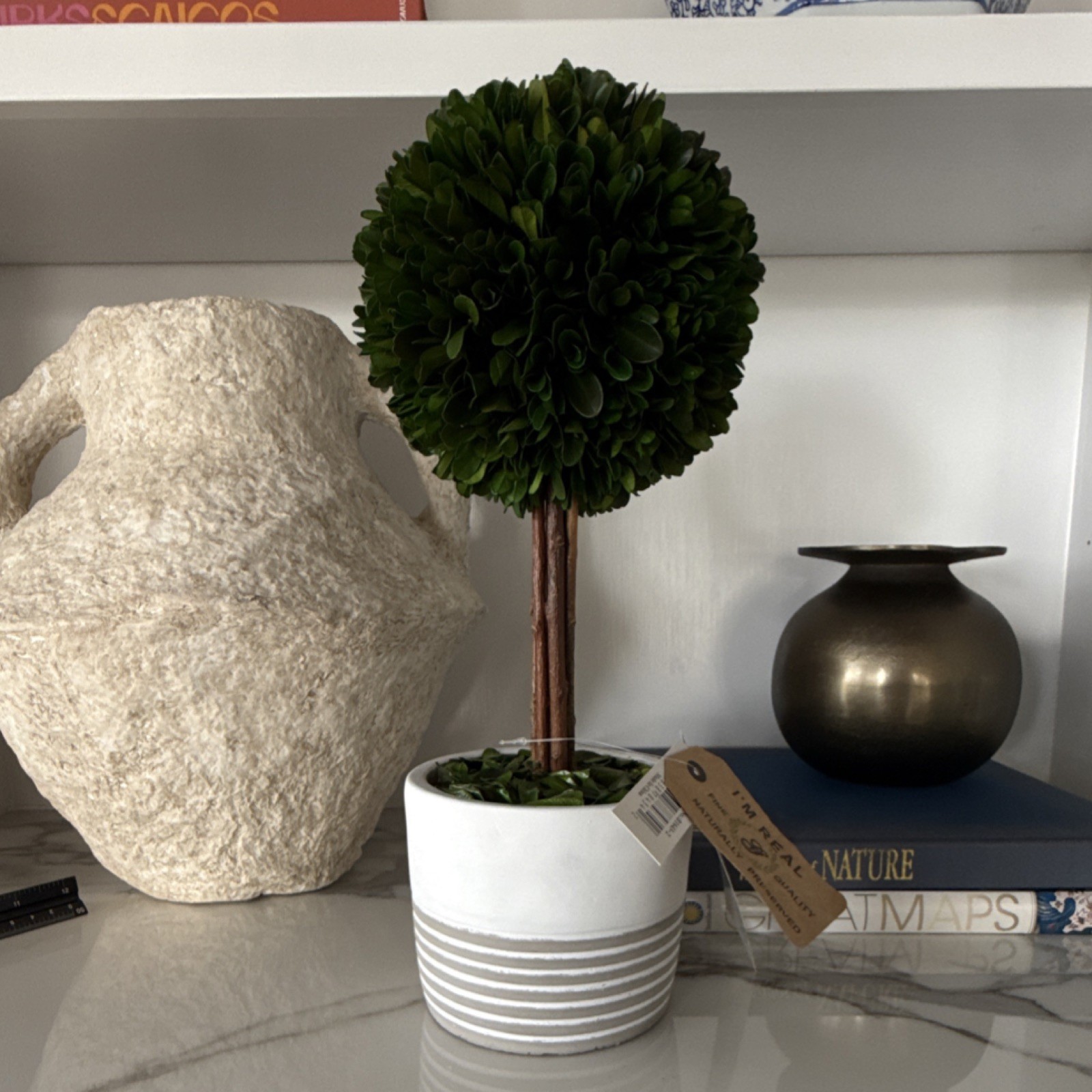 I’m Real Preserved Boxwood Ball Topiary in White Striped Pot, Green