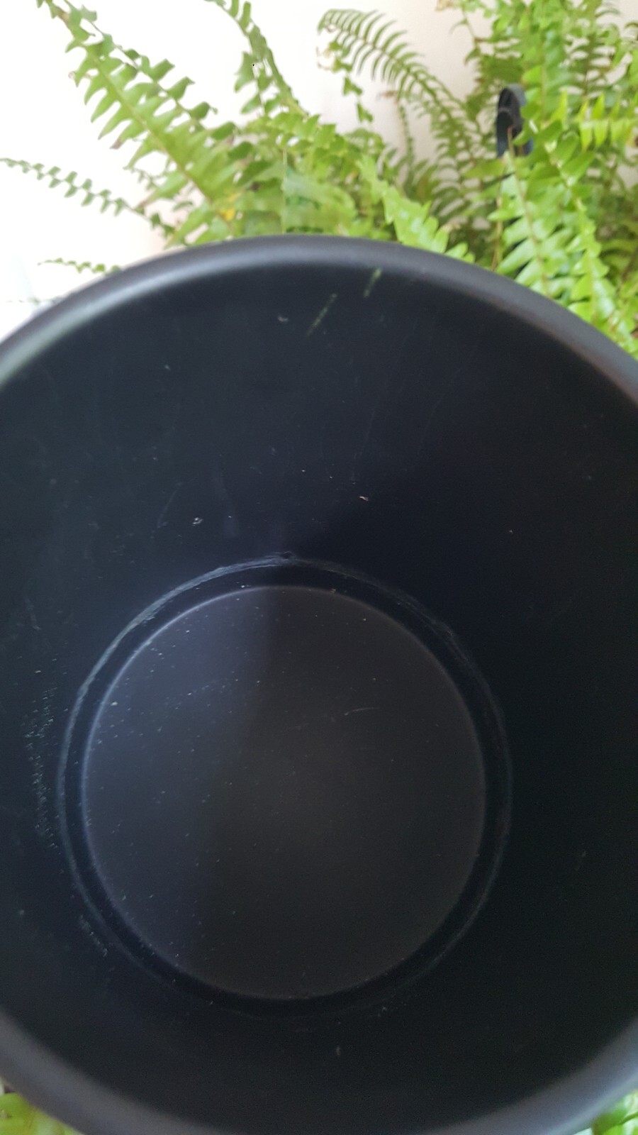 Artificial Fern Stems Matte Black Cylinder Pottery Planter/Stand